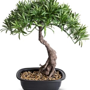 Artificial Bonsai Tree